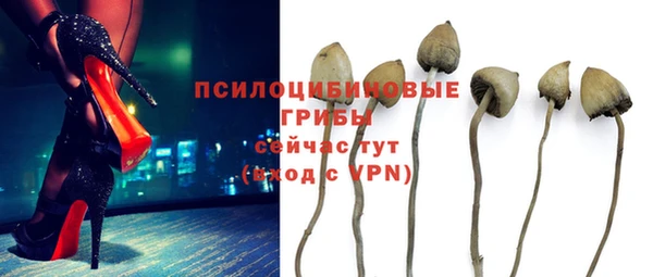mix Белокуриха