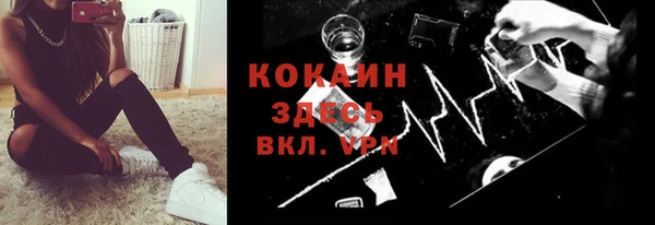 mix Белокуриха