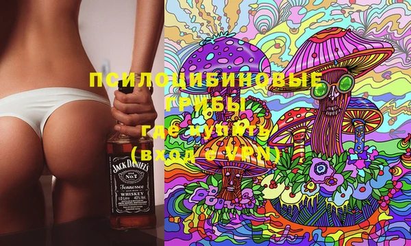 mix Белокуриха