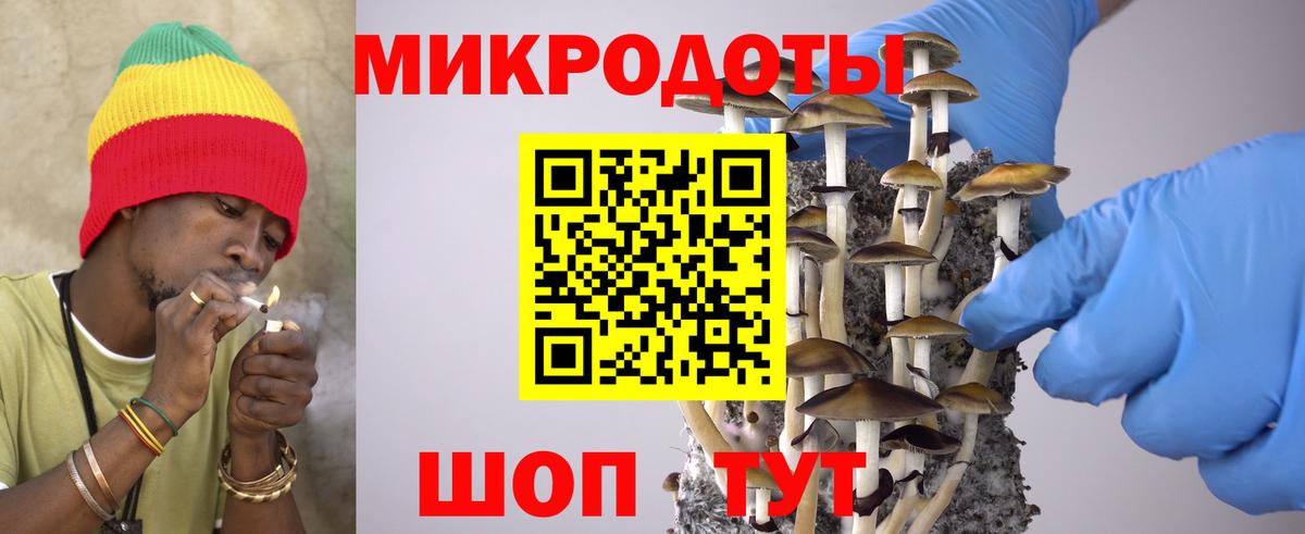 Псилоцибиновые грибы Cubensis Улан-Удэ